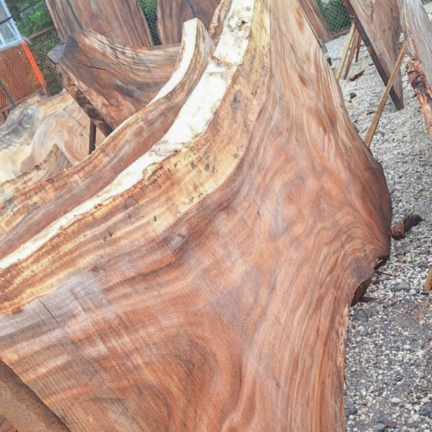 Artesones de Guanacaste